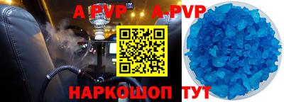 гашик Донской