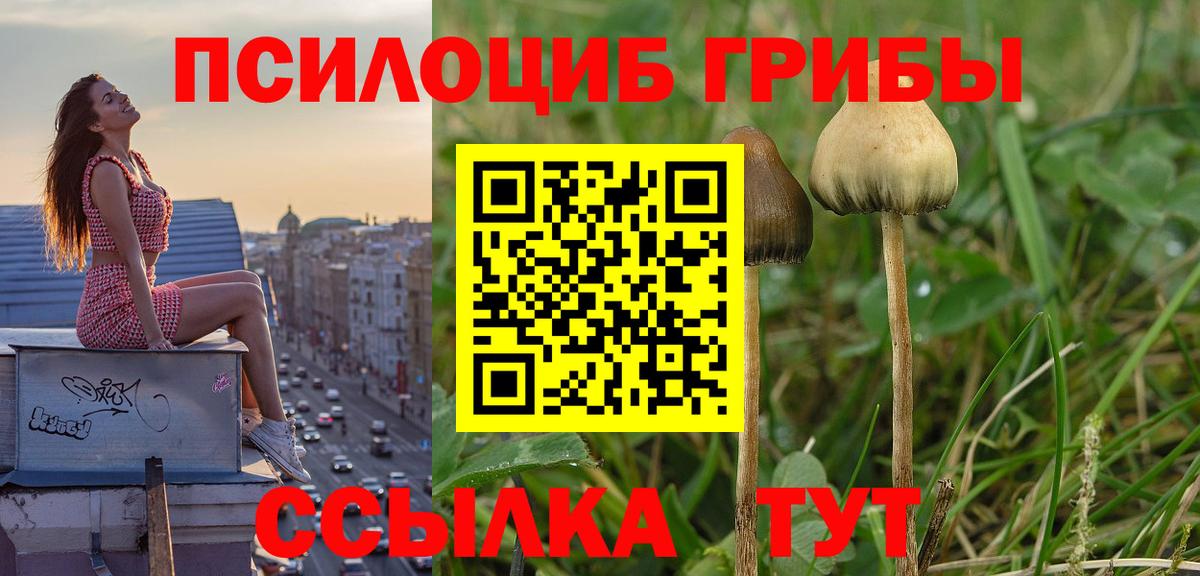 Можайск  Галлюциногенные грибы GOLDEN TEACHER  Вход с VPN 