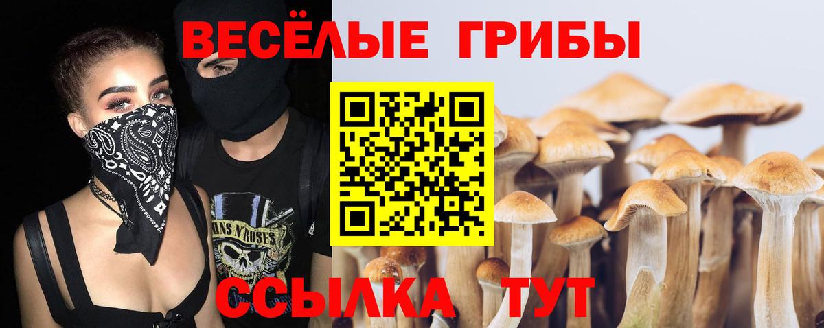 Псилоцибиновые грибы ЛСД Можайск